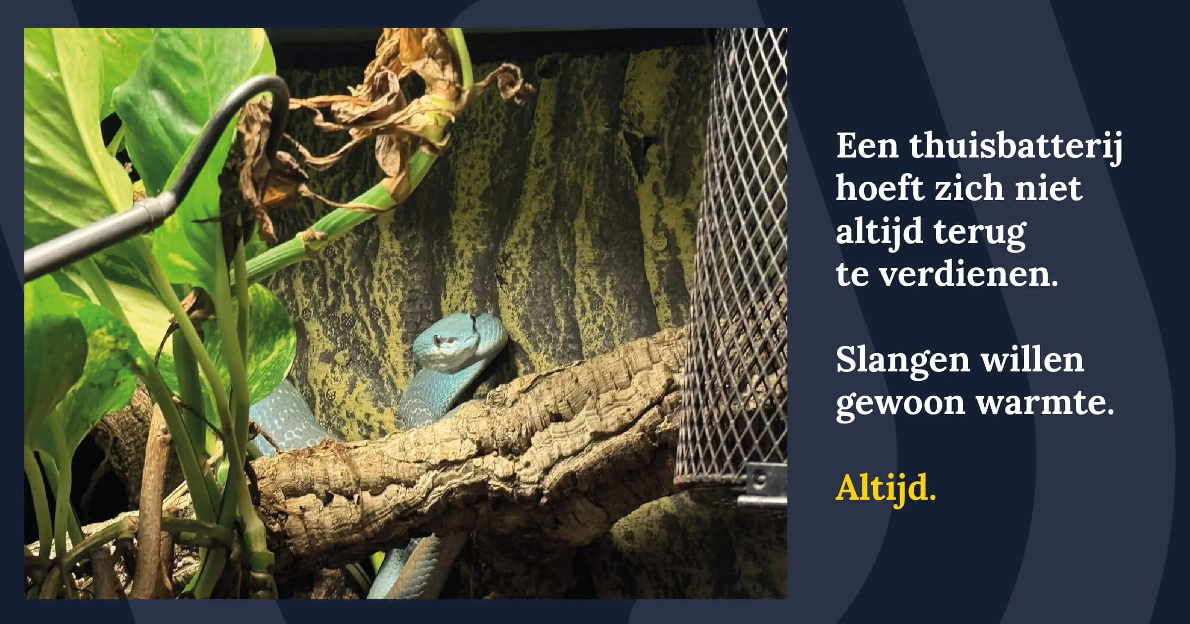 thuisbatterij terrarium slangen warm houden 